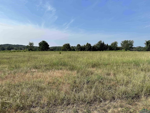 TBD Red Hawk Rd, Gilmer TX, 75645 land for sale