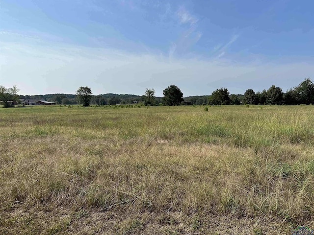 Listing photo 3 for TBD Red Hawk Rd, Gilmer TX 75645