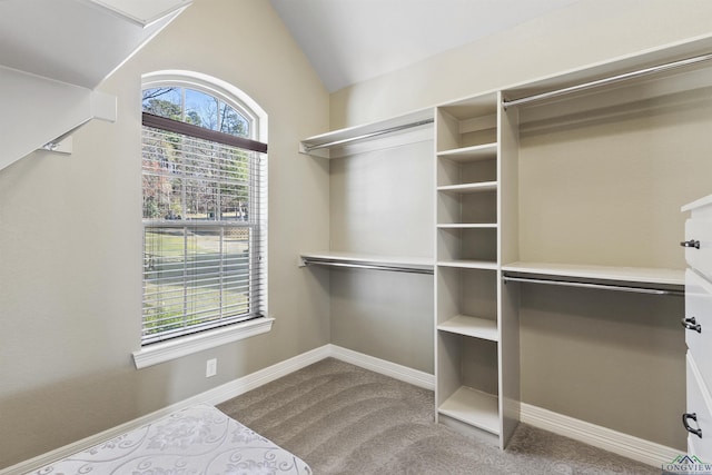 walk in closet featuring carpet floors and lofted ceiling