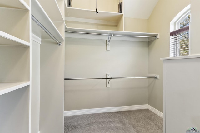 spacious closet with carpet flooring