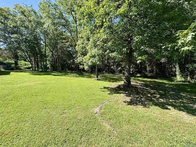 513 S Mimosa St, Ore City, TX 75683 - photo 22