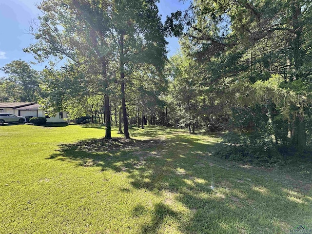 513 S Mimosa St, Ore City, TX 75683 - photo 26
