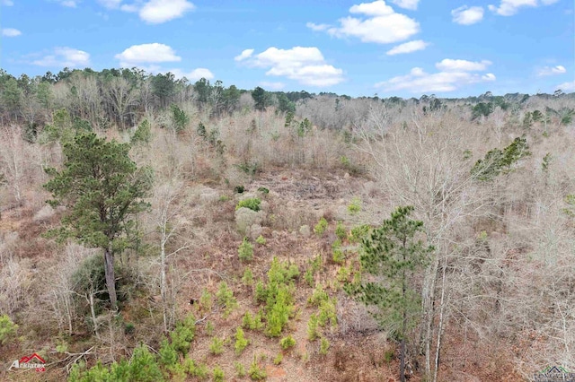 TBD Haynes Rd, Marshall, TX 75671 - photo 9