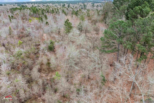 TBD Haynes Rd, Marshall, TX 75671 - photo 12