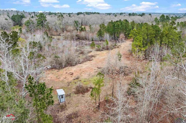 TBD Haynes Rd, Marshall, TX 75671 - photo 5
