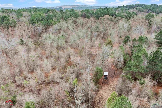 TBD Haynes Rd, Marshall, TX 75671 - photo 11