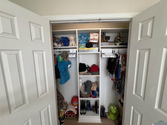 view of closet