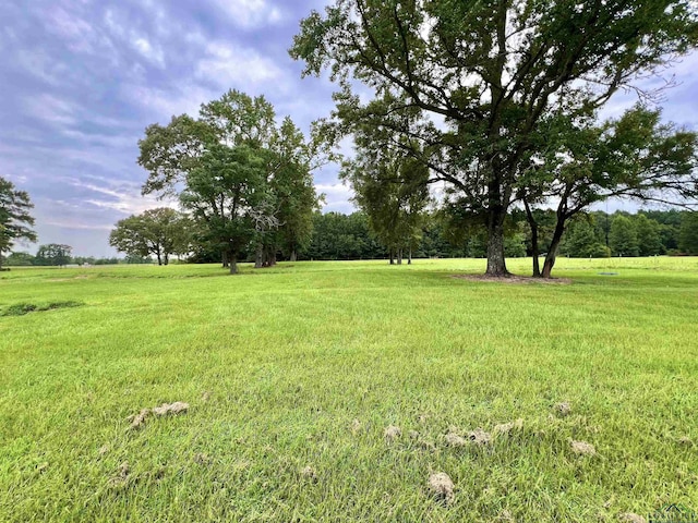 1354 Fm 2517, Carthage, TX 75633 - photo 30