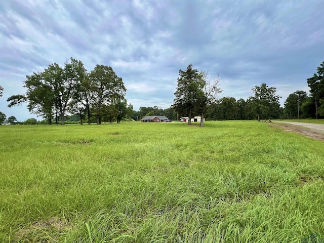 1354 Fm 2517, Carthage, TX 75633 - photo 38