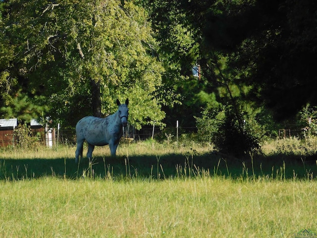 TBD Cherokee Tr, Gilmer TX, 75644 land for sale