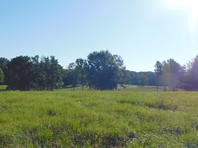 Listing photo 2 for TBD Cherokee Tr, Gilmer TX 75644