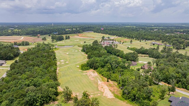 145 Hogan Ct, Gladewater, TX 75647 - photo 34