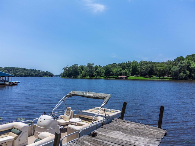 dock area with a water view