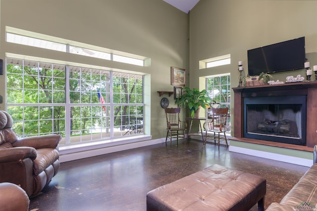 living room featuring a high ceiling