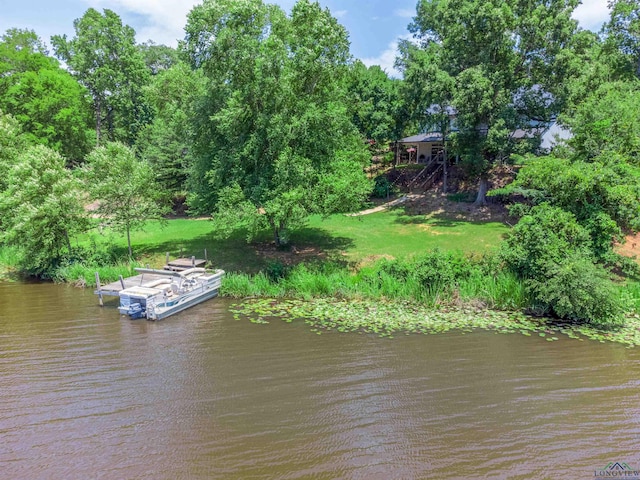 dock area with a water view and a lawn