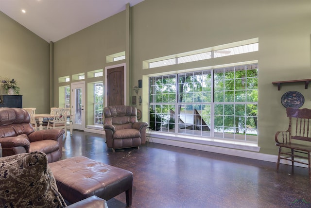 living room featuring high vaulted ceiling