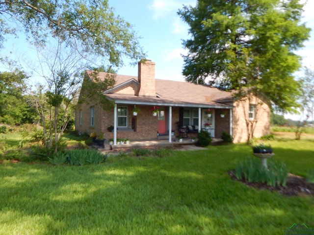 back of house featuring a yard