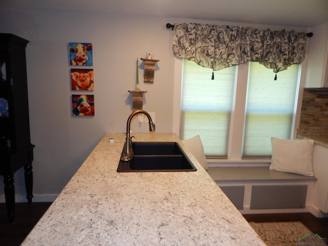 kitchen with light stone counters, plenty of natural light, and sink