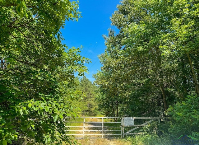 TBD County Road 2617, Linden, TX 75563