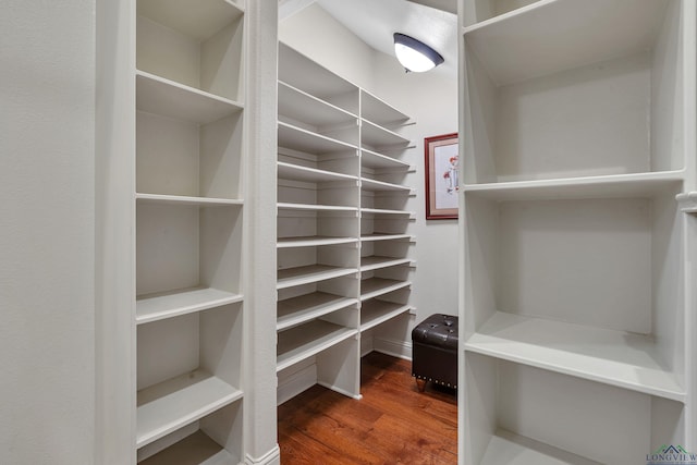 spacious closet featuring hardwood / wood-style floors