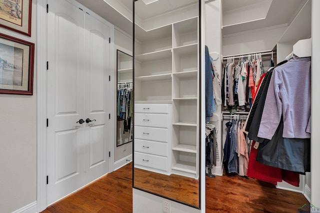 spacious closet featuring dark hardwood / wood-style floors