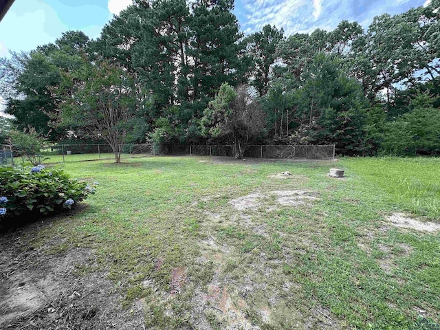 1505 E Birdsong, Longview, TX 75602 - view of yard