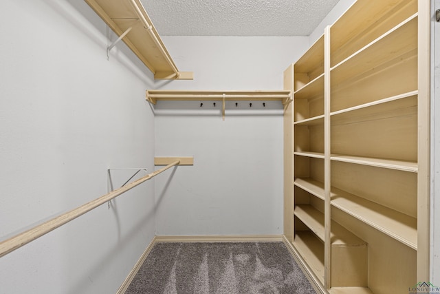 5 Amy Scott Ct, Longview, TX 75605 - spacious closet featuring carpet