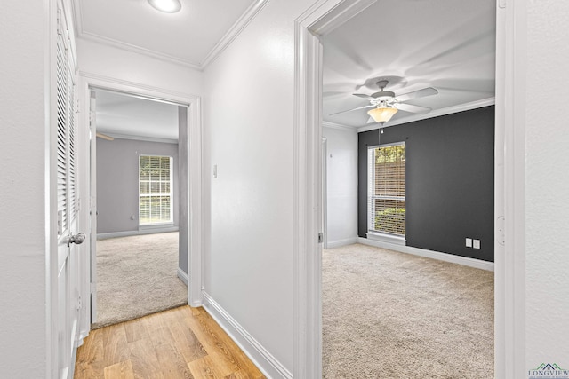 corridor featuring light colored carpet and ornamental molding