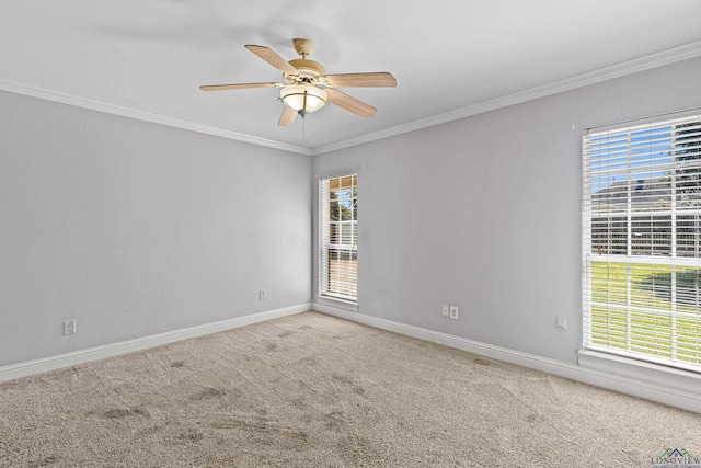 unfurnished room featuring ceiling fan, carpet flooring, and ornamental molding