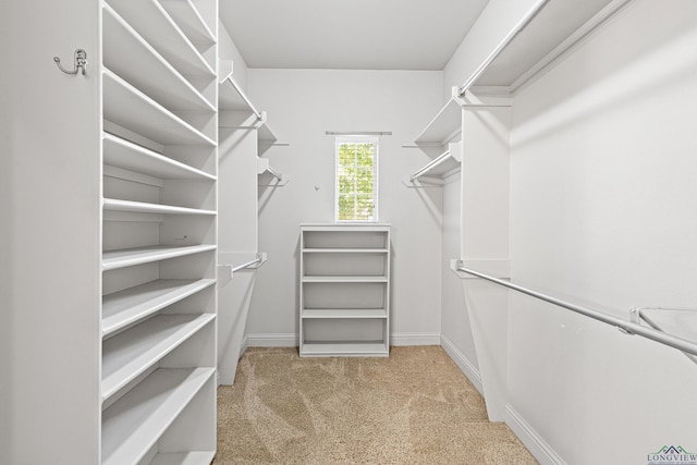 walk in closet with light carpet