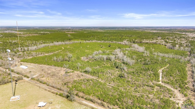 Listing photo 3 for 620 Shady Grove Rd, Jefferson TX 75657