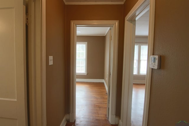 hallway featuring crown molding and light hardwood / wood-style floors