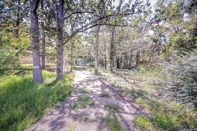 239 Hidden Frst, Longview, TX 75605 - photo 28