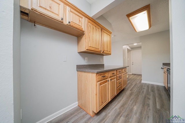 kitchen featuring dark wood-type flooring and light brown cabinets