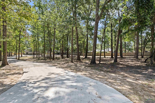 330 Forest Hls, Hallsville, TX 75650 - view of home's community