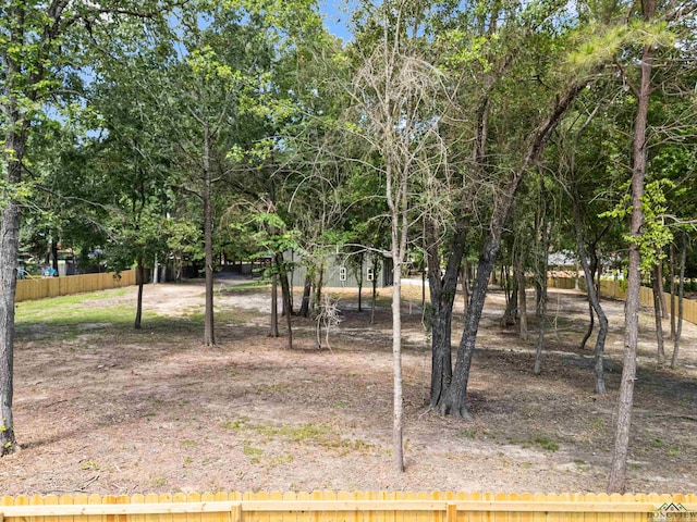 330 Forest Hls, Hallsville, TX 75650 - view of yard