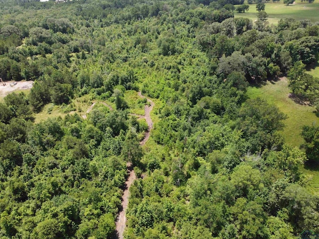 TBD E State Highway 43, Henderson, TX 75654 - photo 4