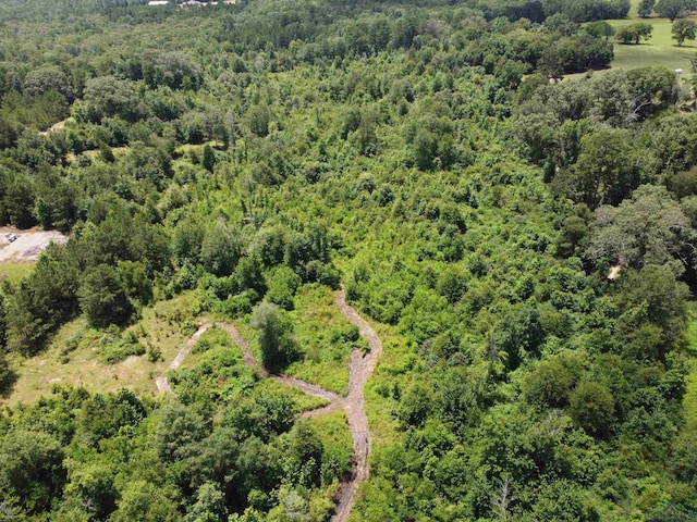 TBD E State Highway 43, Henderson, TX 75654 - photo 2