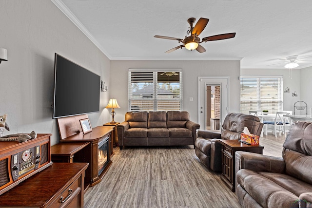 living room featuring crown molding, hardwood / wood-style floors, and a healthy amount of sunlight