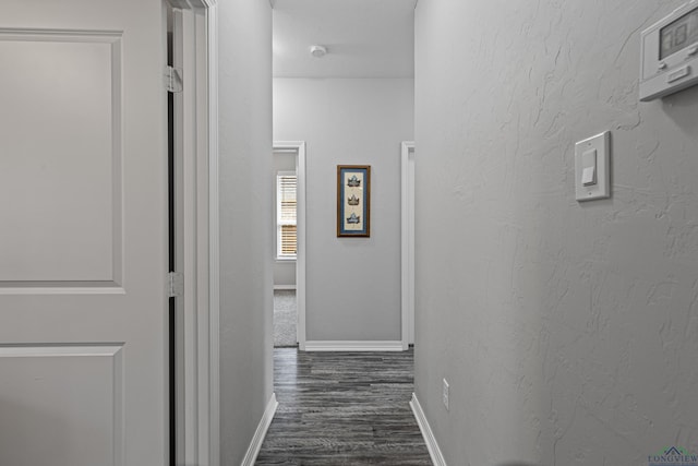 hallway featuring dark wood-type flooring