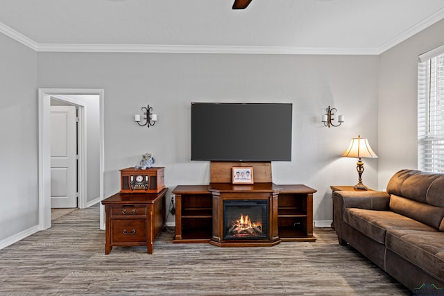 living room featuring hardwood / wood-style flooring, ceiling fan, a large fireplace, and ornamental molding