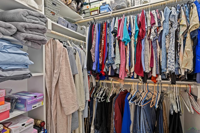 view of spacious closet