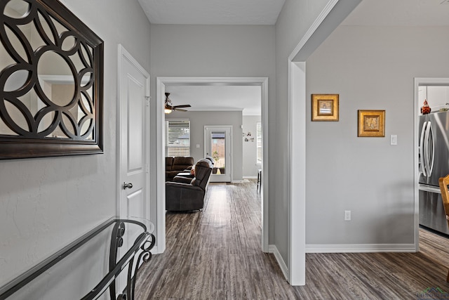 hall featuring dark hardwood / wood-style floors