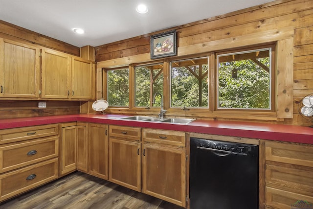 kitchen featuring sink, black dishwasher, a wealth of natural light, and dark wood-type flooring