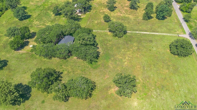 7876 Green Hills Rd, Gilmer, TX 75645 - aerial view