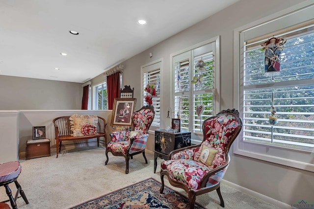 living area with carpet floors