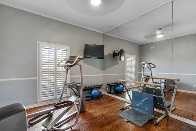 workout room featuring a wealth of natural light, ceiling fan, ornamental molding, and wood finished floors