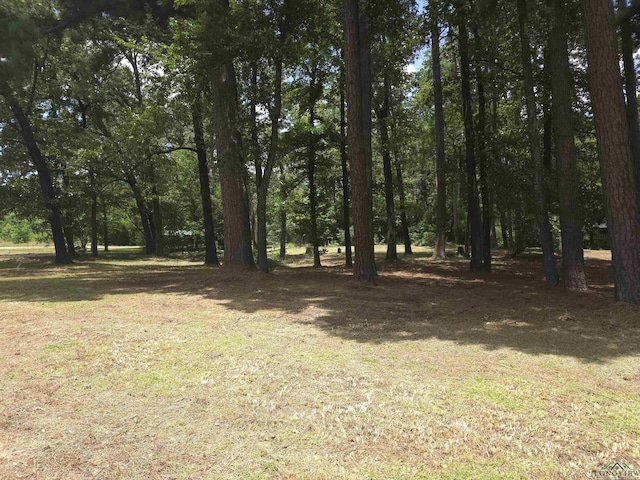 208 Mountain View Dr, Daingerfield, TX 75638 - photo 1
