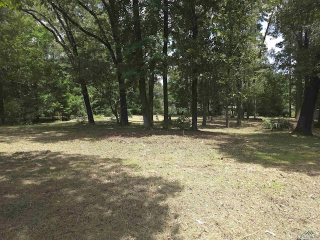 208 Mountain View Dr, Daingerfield, TX 75638 - photo 3