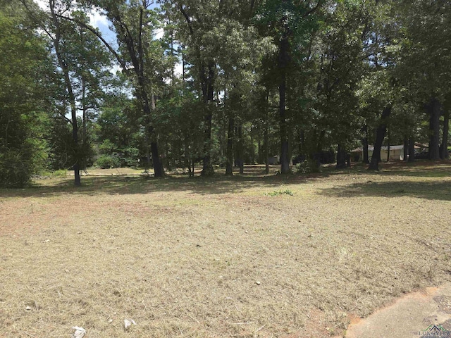 208 Mountain View Dr, Daingerfield, TX 75638 - photo 2